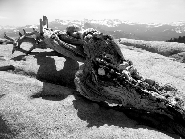 ansel-adams