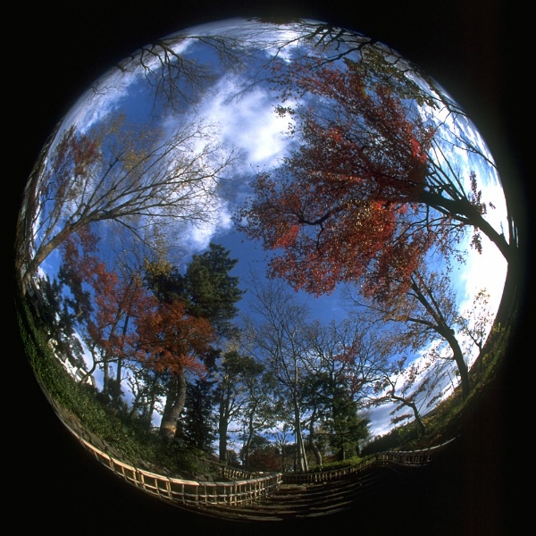 fisheye8