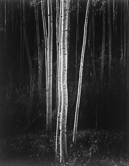 ansel-adams2