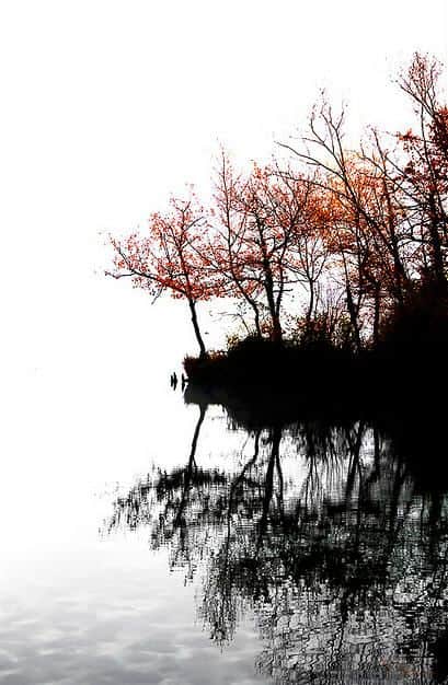 La composizione Fotografica –  Il Contrasto