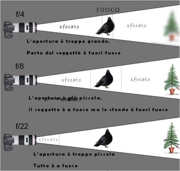 profondità di campo