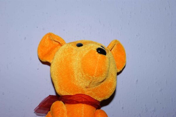 flash frontale