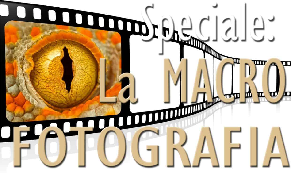 La Macrofotografia: introduzione