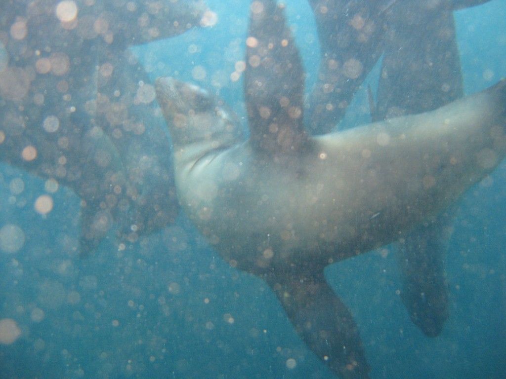 backscatter