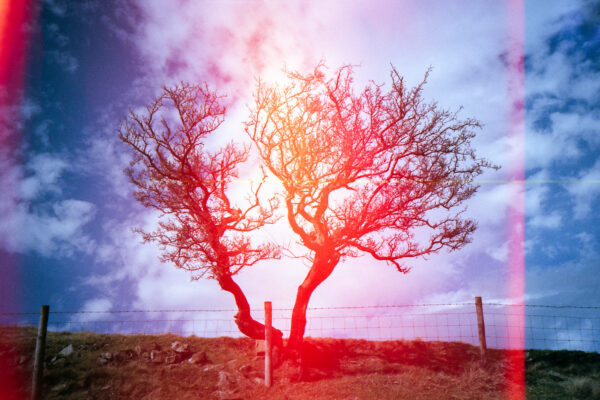 lomografia