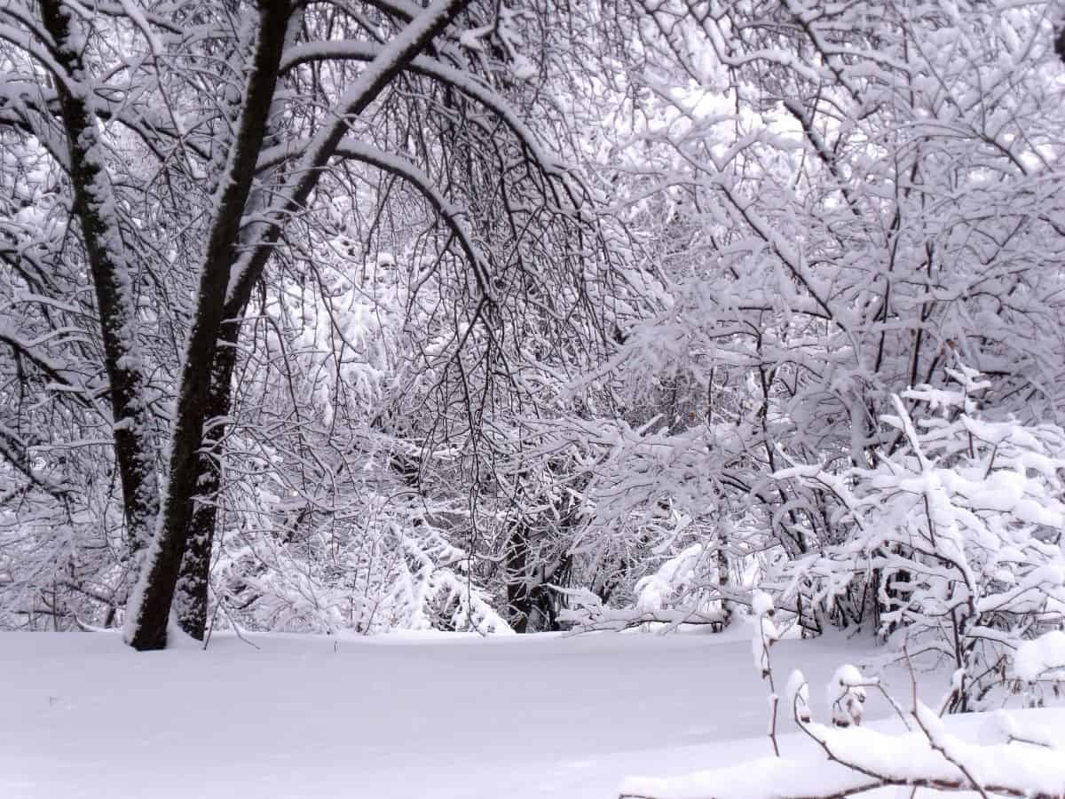 bianco paesaggio