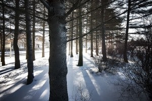 copyright IngaHel