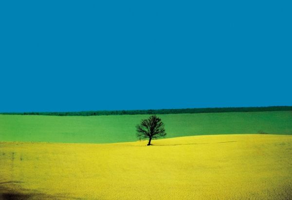 Franco Fontana - Puglia