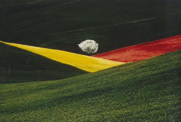 Franco Fontana - astratto