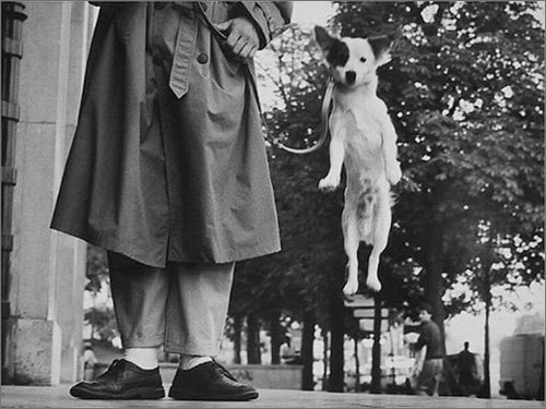 erwitt 7