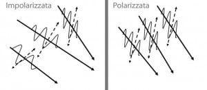 polarizzata e non polarizzata