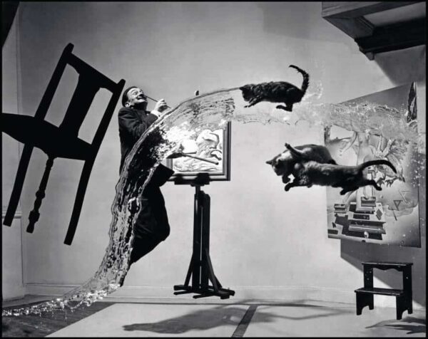 dali atomicus