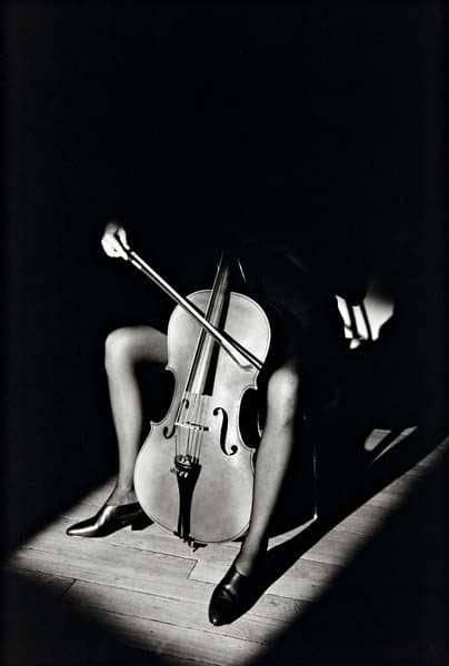 sieff1