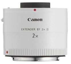 fotografare gli uccelli - Un extender 2x Canon