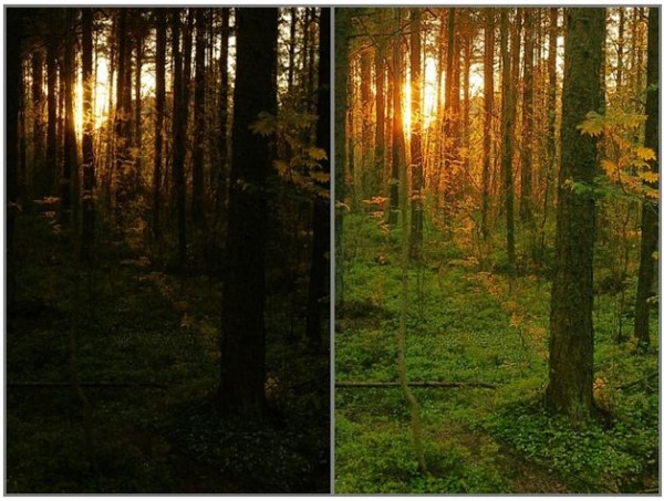 shadow highlights