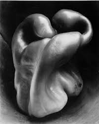 Edward Weston - foto di nudo