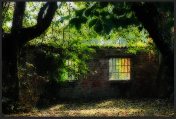 effetto orton