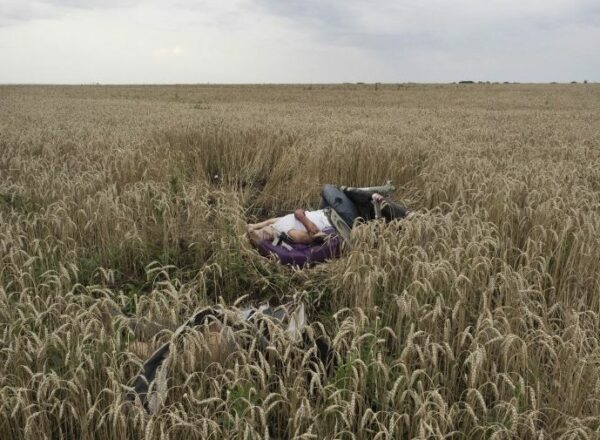 World Press Photo 2015 - 