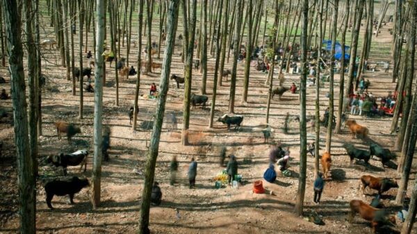 World Press Photo 2015 - 