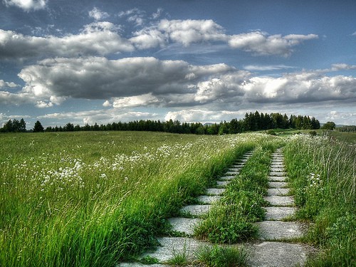 immagini dinamiche di paesaggio | profondità di campo