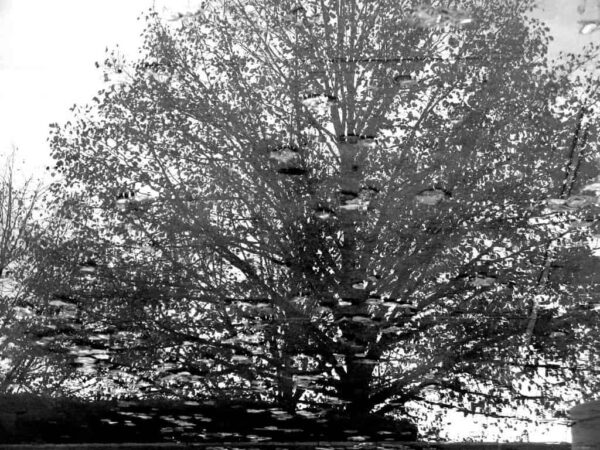immagini riflesse nelle pozzanchere