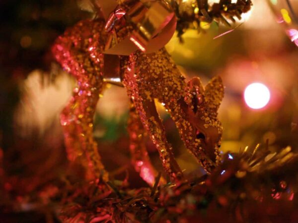 fotografare le vacanze di natale