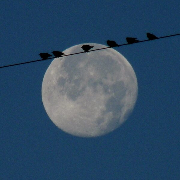 fotografia astronomica: la luna