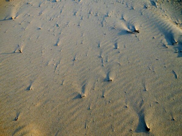 fotografare la sabbia