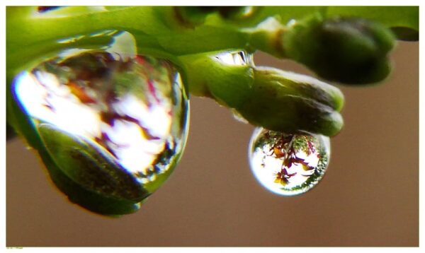 riflesso in una sfera di cristallo