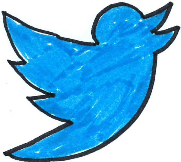 twitter e la fotografia