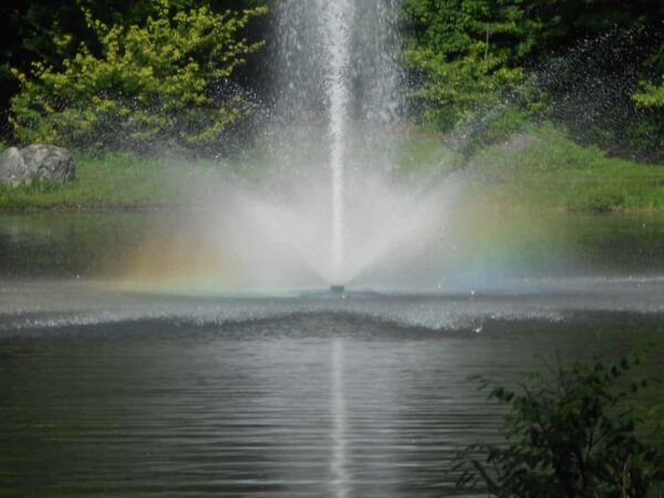 Fotografare l'acqua