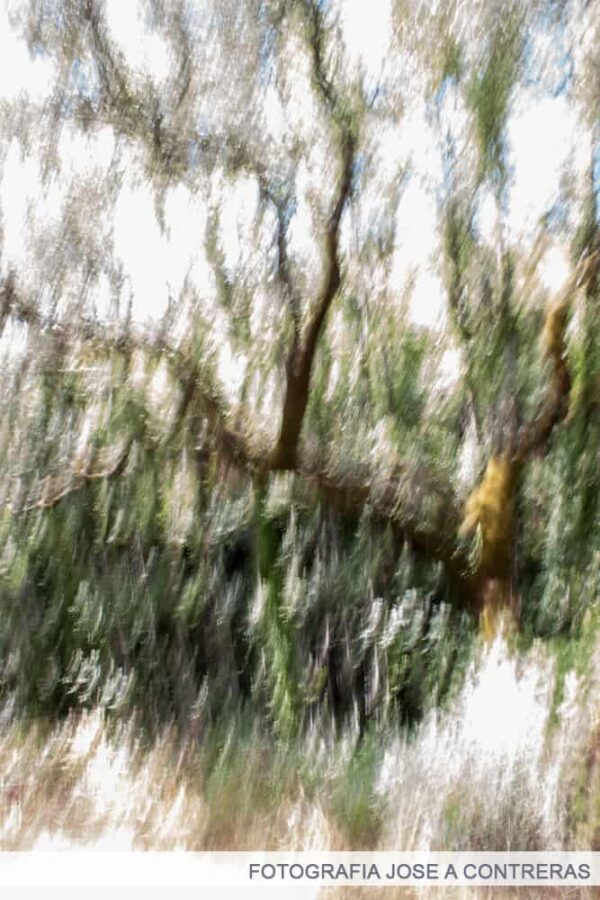 fotografia artistica