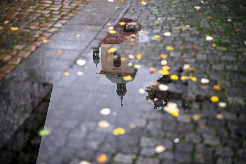 Prague in a Puddle by romanboed autumn photo