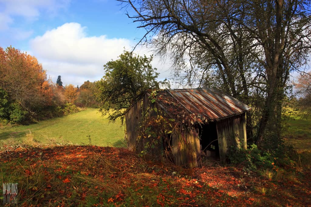 Remembering The Past by Ian Sane autumn photo