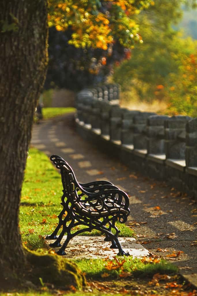 Evening Light On The McLoughlin Promenade by Ian Sane autumn photo