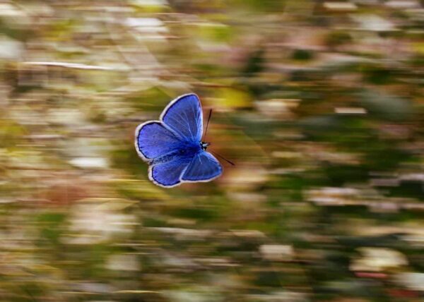 fotografare in manuale | espandere la tua creatività