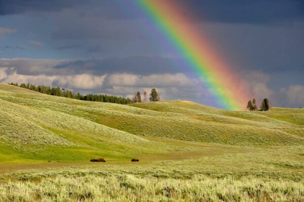 arcobaleno