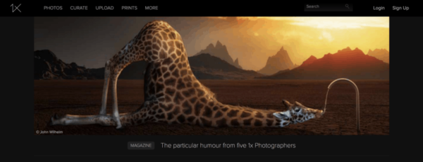 10 migliori alternative a flickr