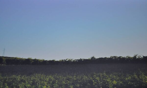 foto quadro