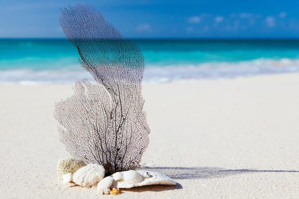 spiaggia