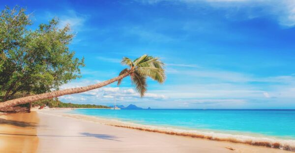 spiaggia