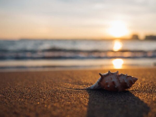 foto di spiagge