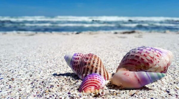 spiaggia