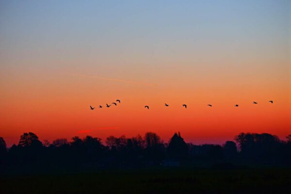 come fotografare l'alba