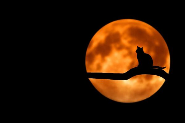 migliorare la fotografia cambiando la prospettiva luna come fotografare la luna