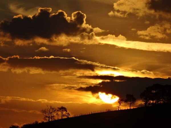alba