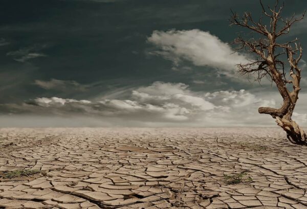 Deserto, Secco