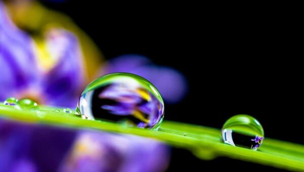 macro