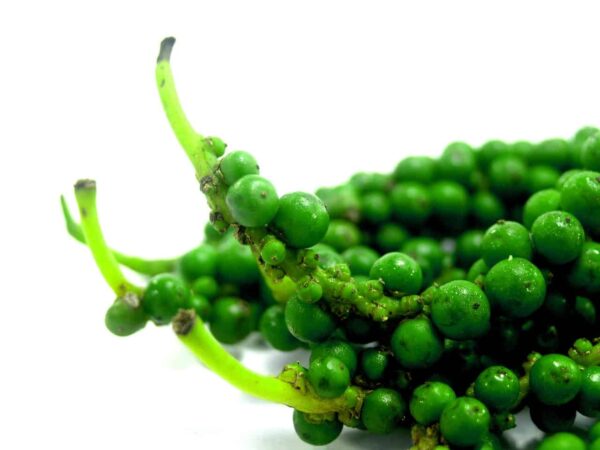macrofotografia