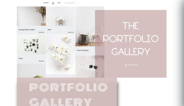 plugin wordpress fotografi